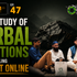 Ecommerce Case Study on Herbal Solution - Selling Shilajit Online !  High Demand