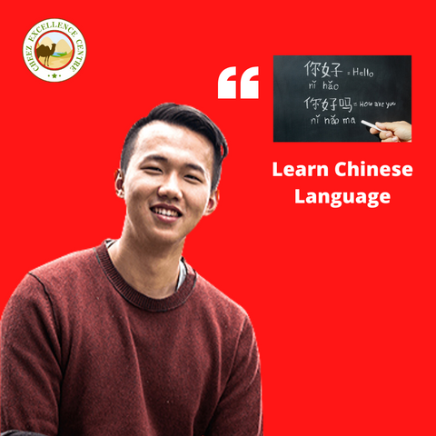 Learn Chinese Language